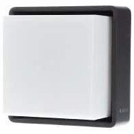 Steinel Applique murale LED extérieur L 845 SC avec détecteur de mouvement, Bluetooth Mesh, Connect App