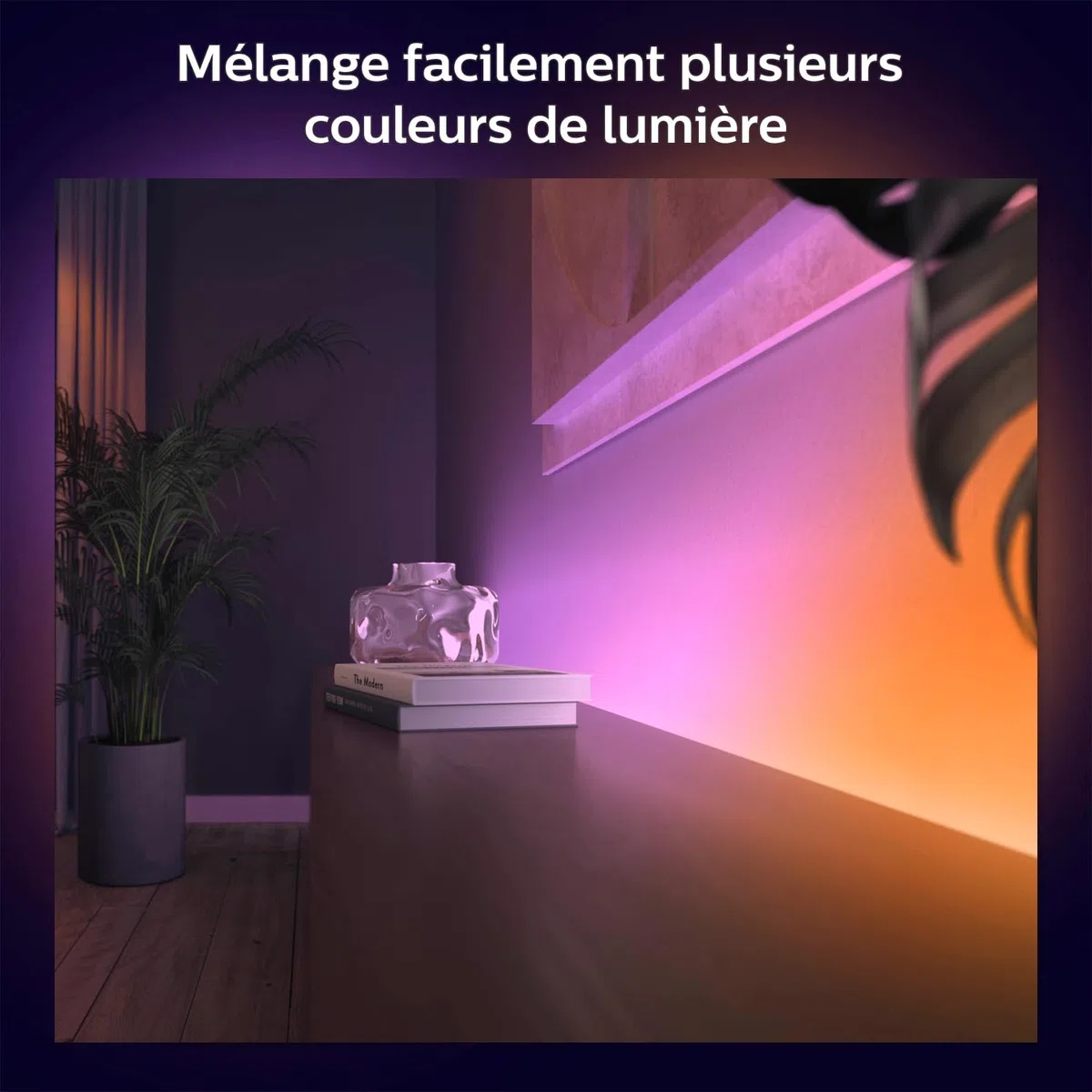 Philips Hue White and Color Gradient LED Strip 2m, Bande LED avec Bluetooth, Compatible Alexa, Google Assistant, Apple HomeKit