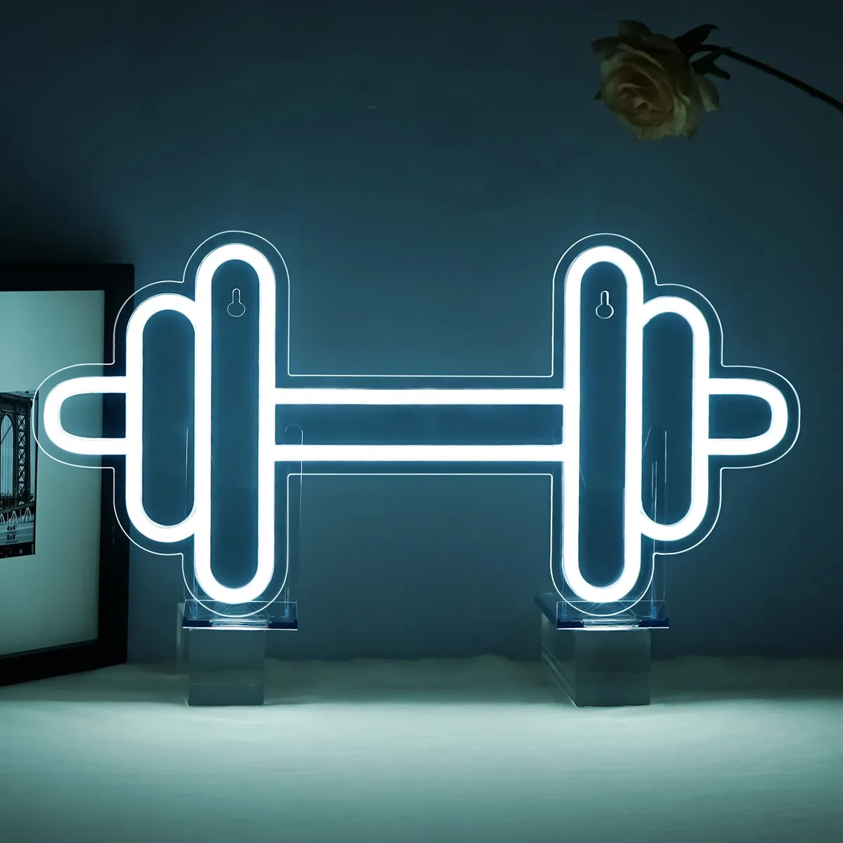 Gym Neon Led Haltères Led Blanc Froid Dimmable Décoration Murale Enseigne Lumineuse Panneau Lumineux Salle de Sport